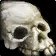 Icon for Faintly Glowing Skull