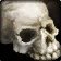 Hillsbrad Human Skull