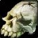 Dal Bloodclaw's Skull